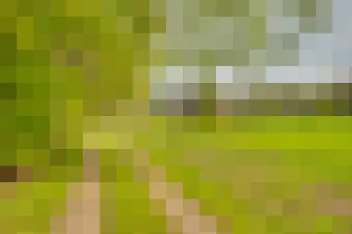 Huzarenlaan 14 Joppe thumbnail 35