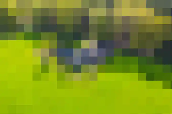 Huzarenlaan 14 Joppe thumbnail 36