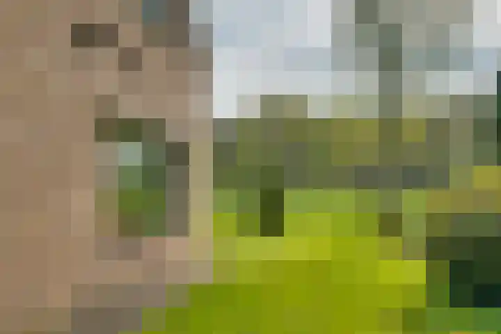 Huzarenlaan 14 Joppe thumbnail 4