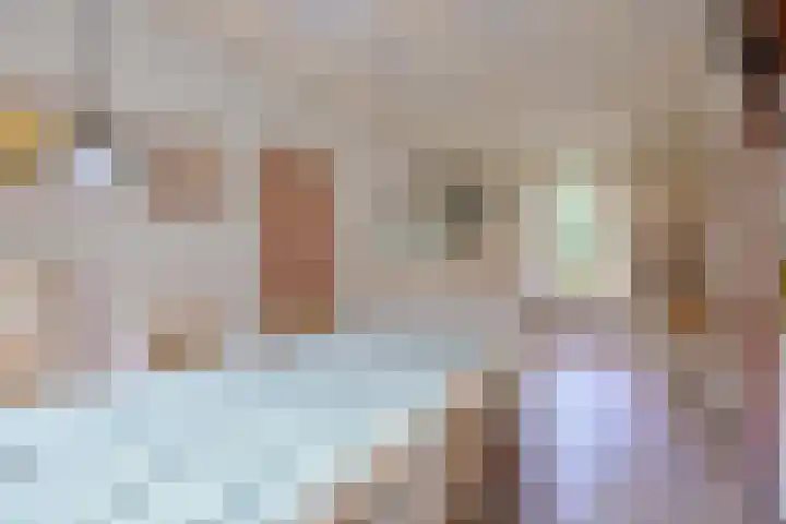 Huzarenlaan 7 Joppe thumbnail 17