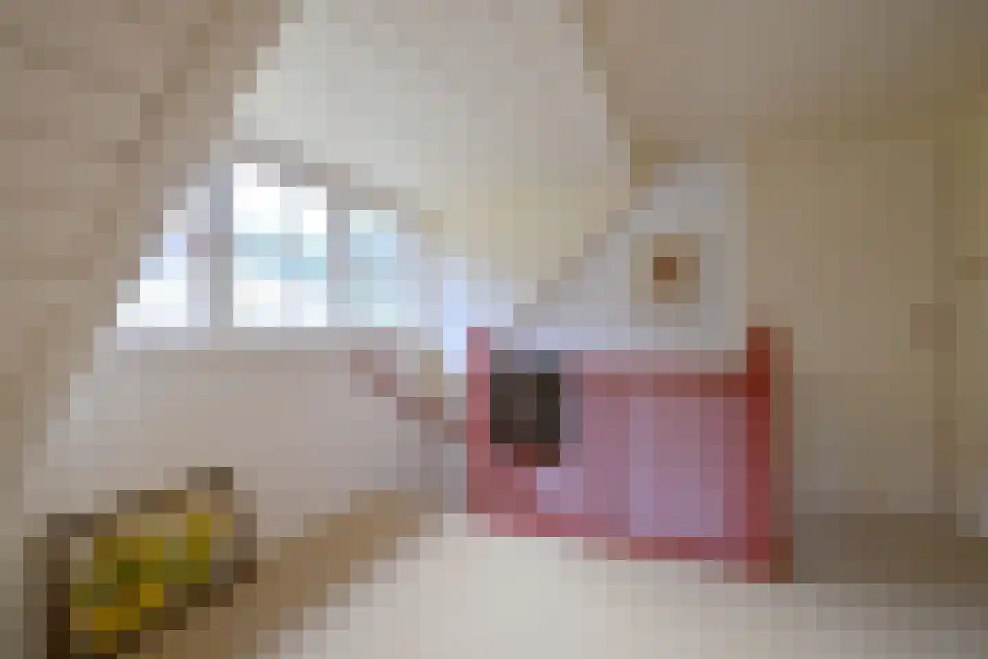 Huzarenlaan 7 Joppe thumbnail 34