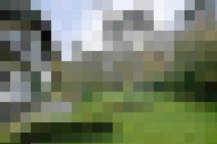Huzarenlaan 7 Joppe thumbnail 36