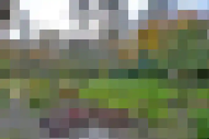Huzarenlaan 7 Joppe thumbnail 37