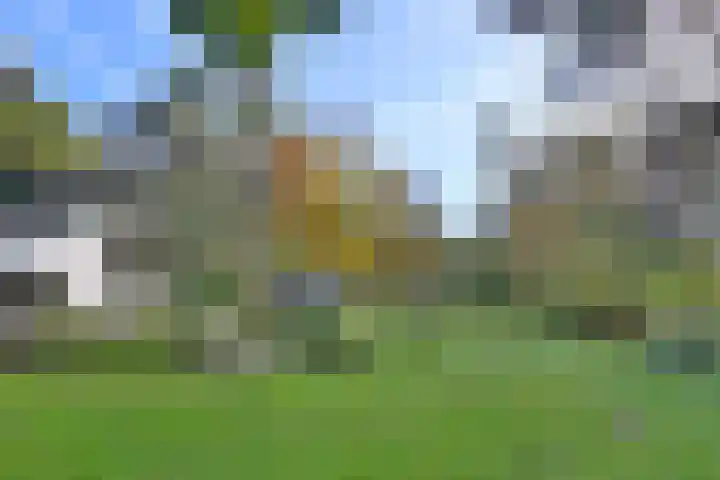Huzarenlaan 7 Joppe thumbnail 42