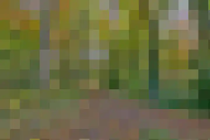 Huzarenlaan 7 Joppe thumbnail 44
