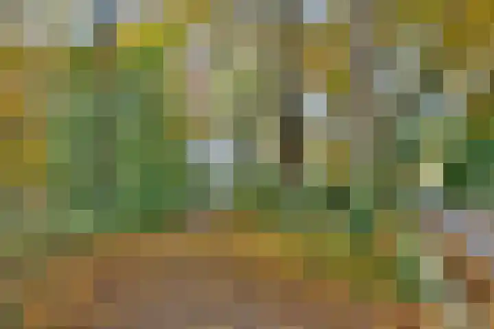 Huzarenlaan 7 Joppe thumbnail 45