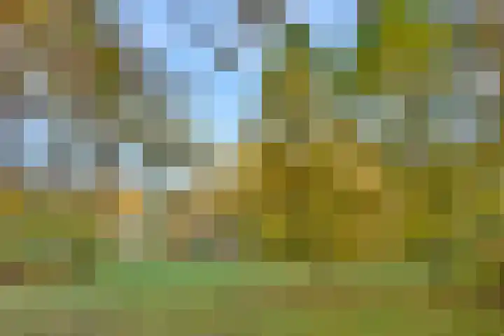 Huzarenlaan 7 Joppe thumbnail 47
