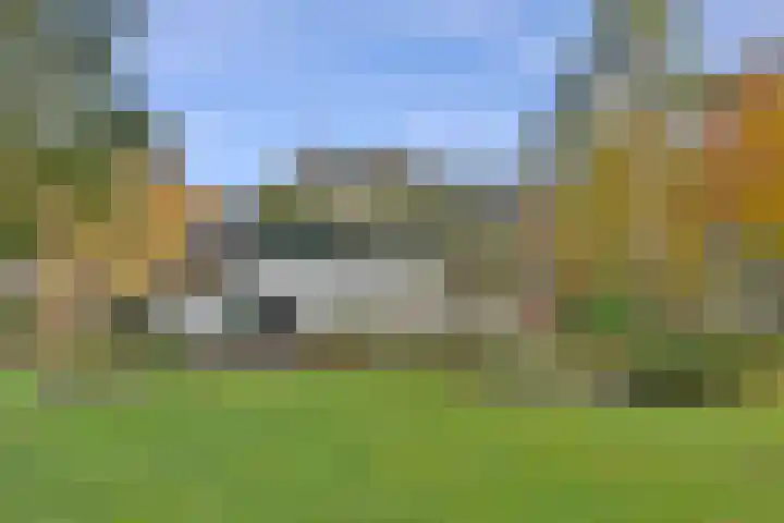 Huzarenlaan 7 Joppe thumbnail 5