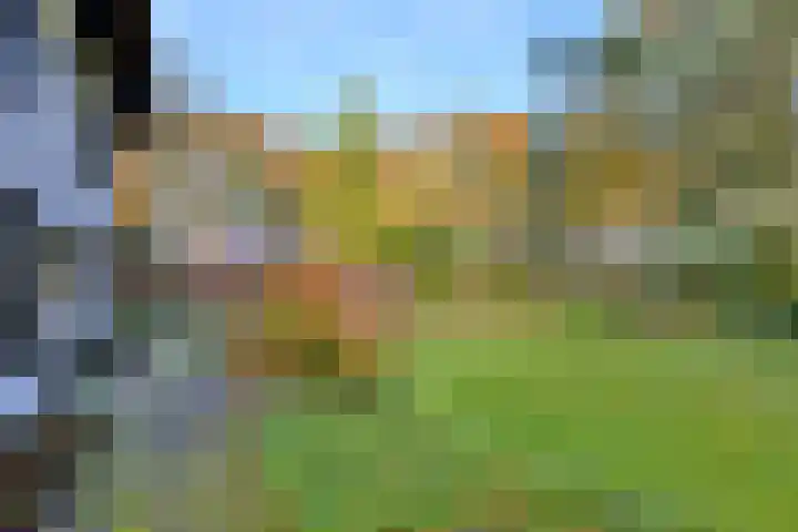 Huzarenlaan 7 Joppe thumbnail 50