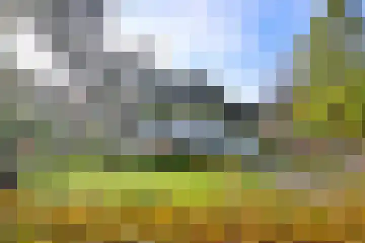Huzarenlaan 7 Joppe thumbnail 6