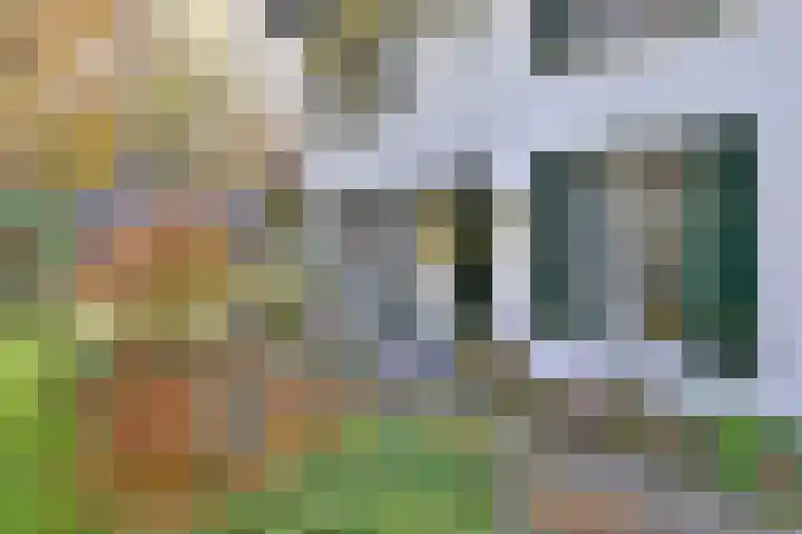 Huzarenlaan 7 Joppe thumbnail 7