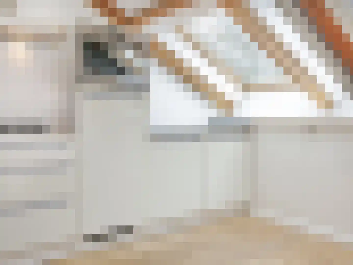 Huzarenstraat 7 Haarlem thumbnail 12