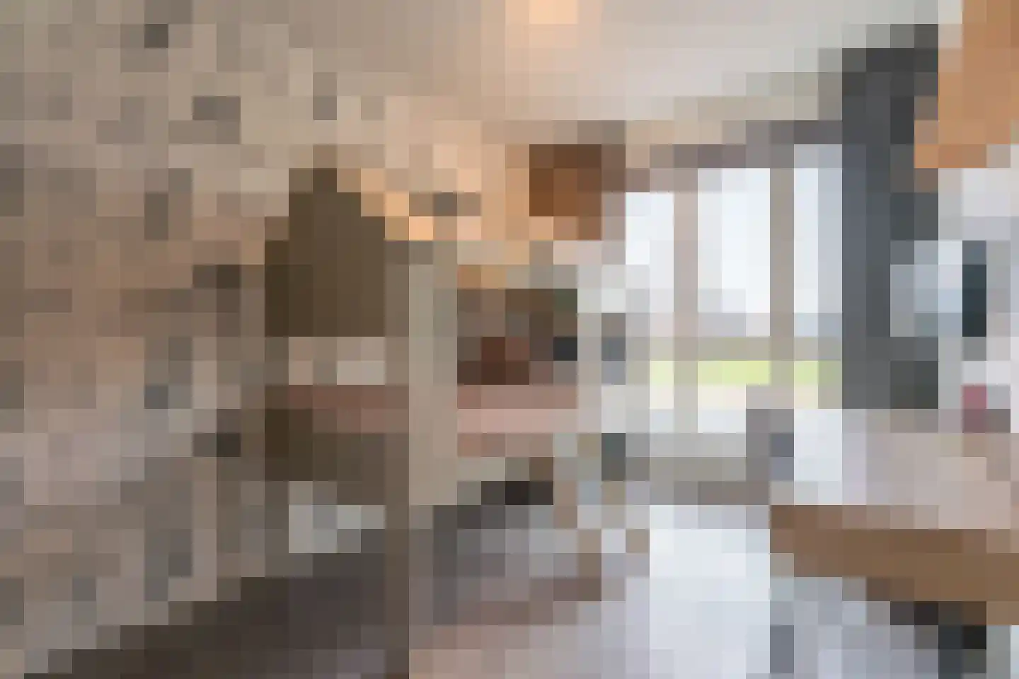 Hyacint 101 Voorhout thumbnail 15