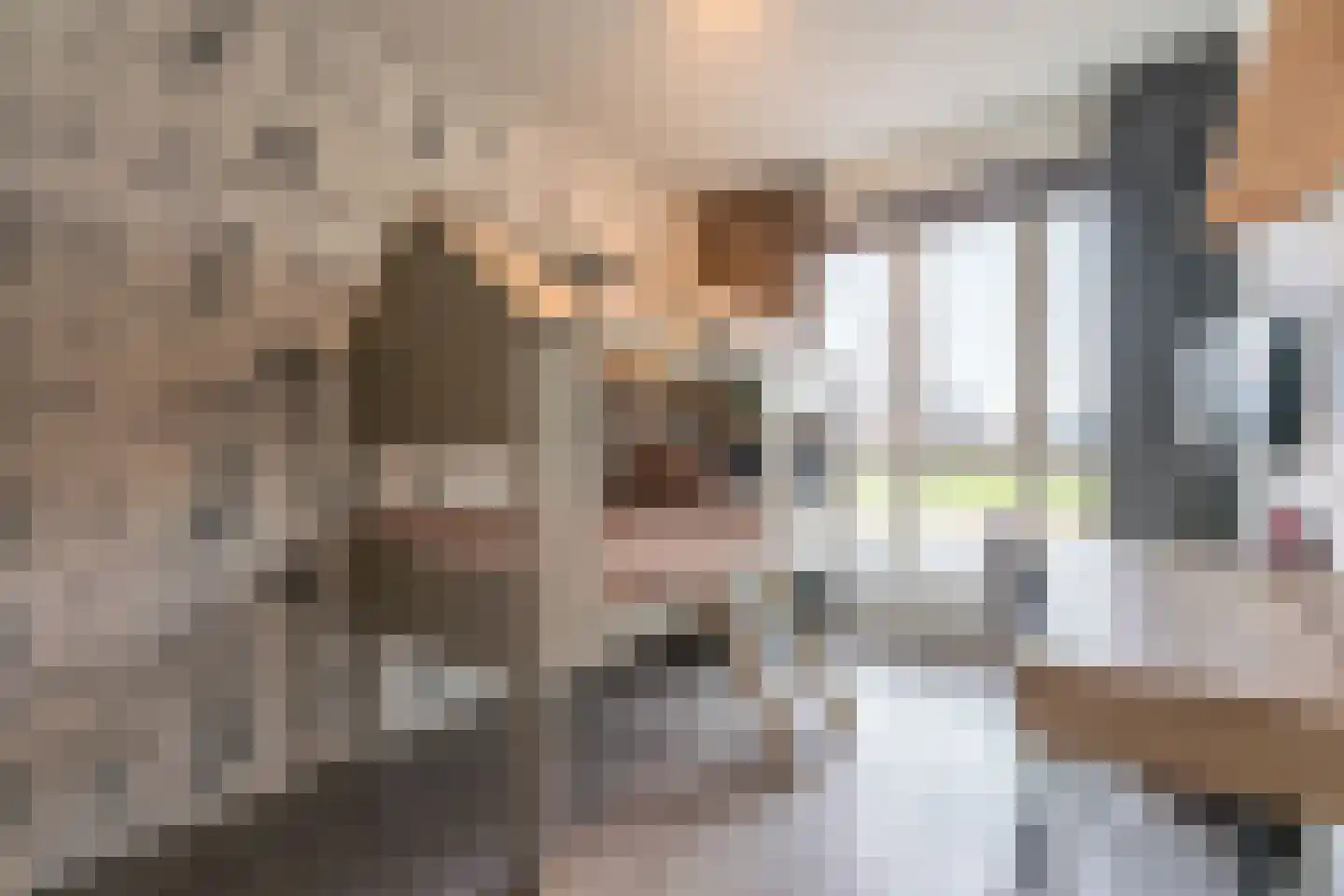 Hyacint 101 Voorhout thumbnail 18