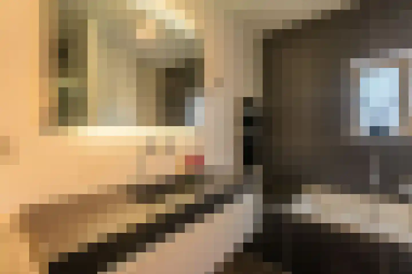 Hyacint 101 Voorhout thumbnail 22