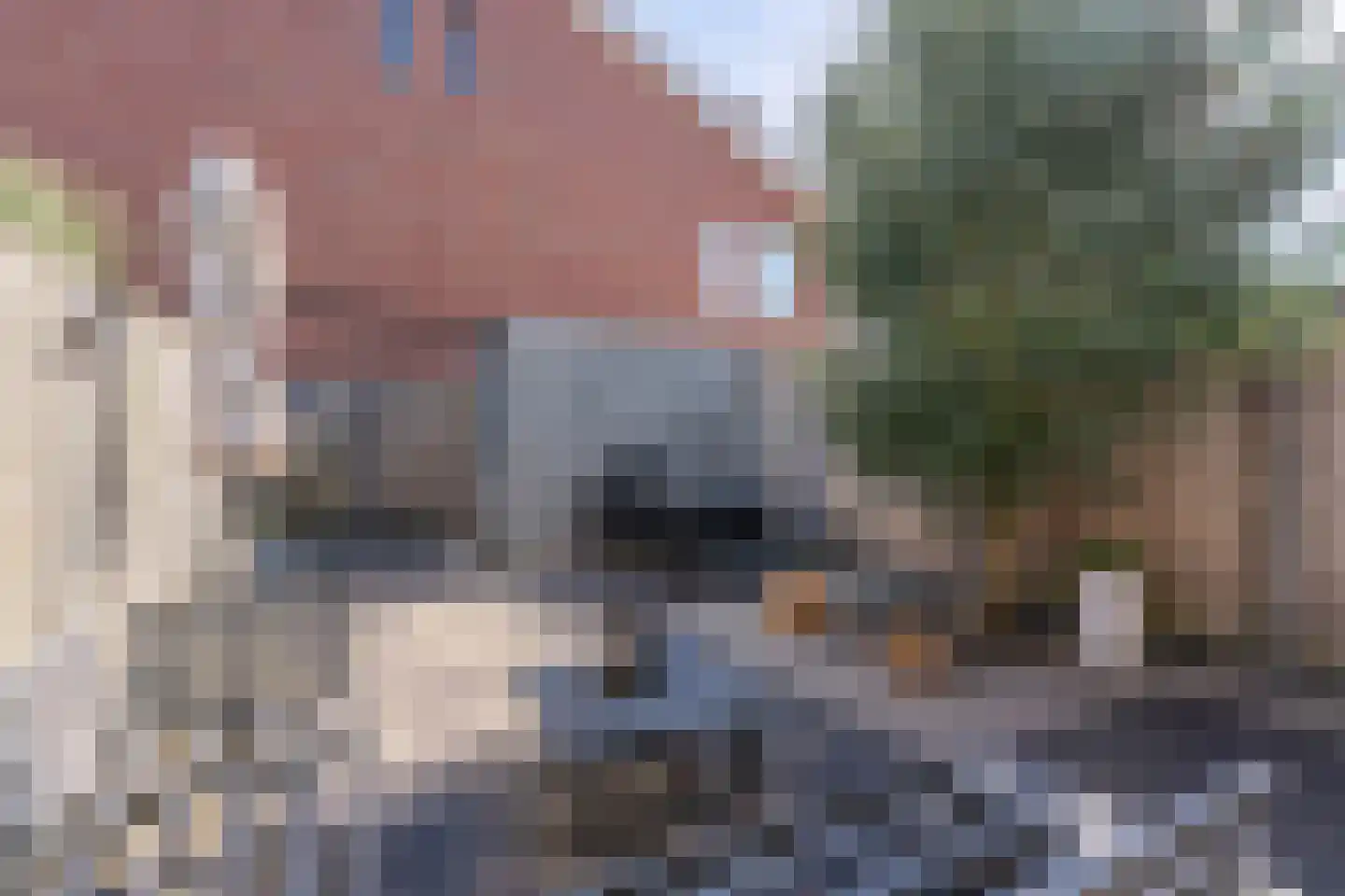 Hyacint 101 Voorhout thumbnail 33
