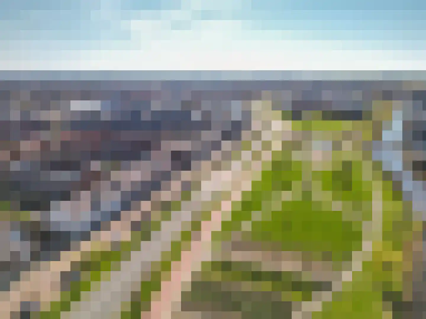 Hyacint 101 Voorhout thumbnail 35