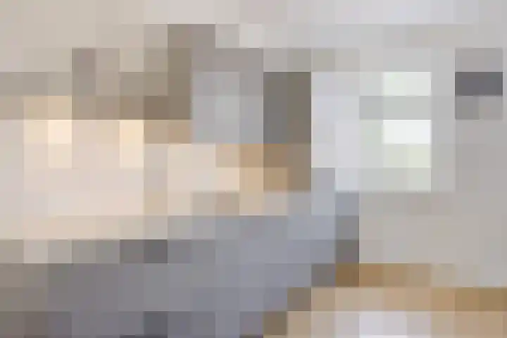 Hyacint 11 Voorhout thumbnail 11