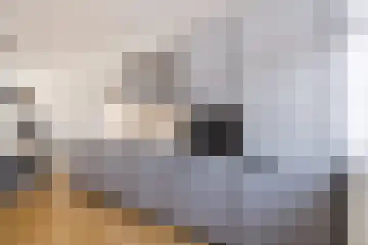 Hyacint 11 Voorhout thumbnail 14