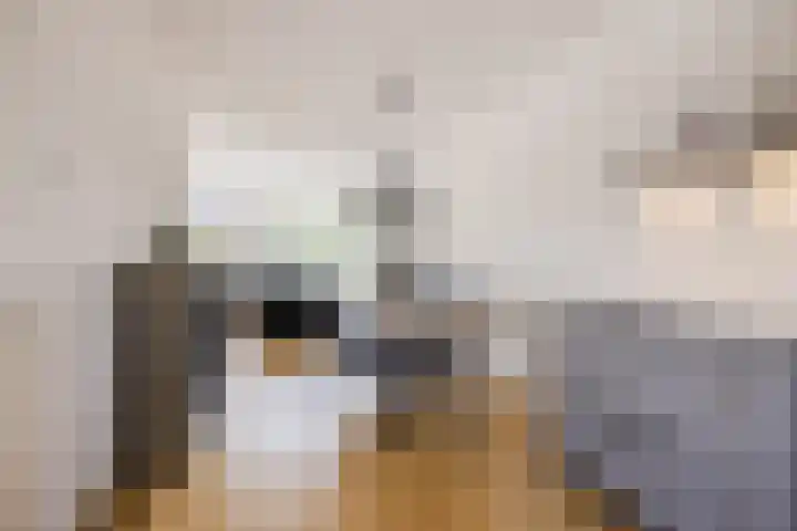 Hyacint 11 Voorhout thumbnail 15