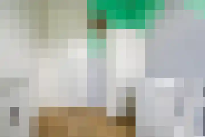 Hyacint 11 Voorhout thumbnail 23