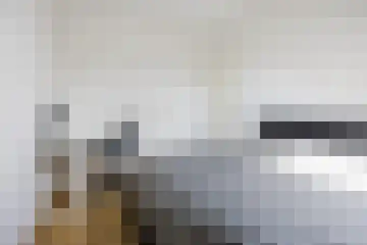 Hyacint 11 Voorhout thumbnail 30