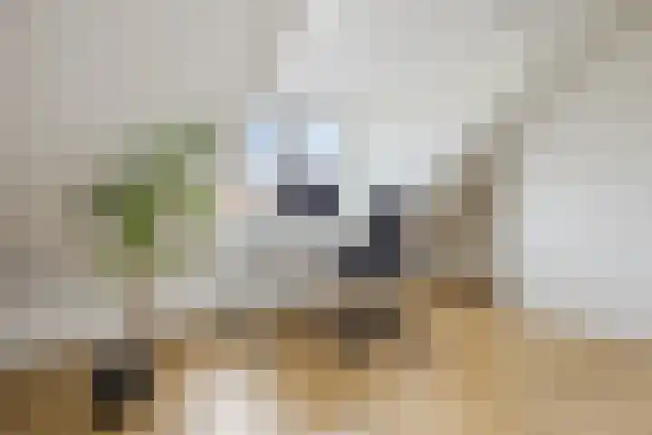 Hyacint 11 Voorhout thumbnail 32
