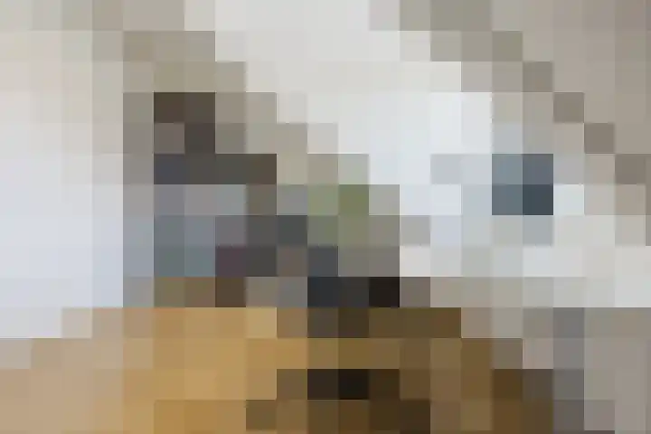 Hyacint 11 Voorhout thumbnail 33