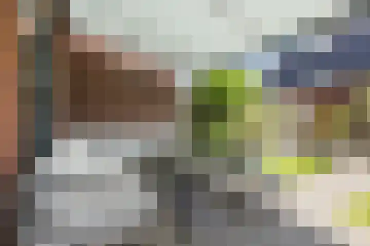 Hyacint 11 Voorhout thumbnail 34