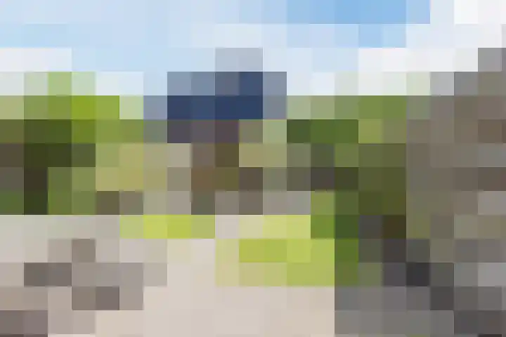 Hyacint 11 Voorhout thumbnail 36