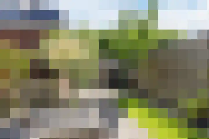 Hyacint 11 Voorhout thumbnail 37