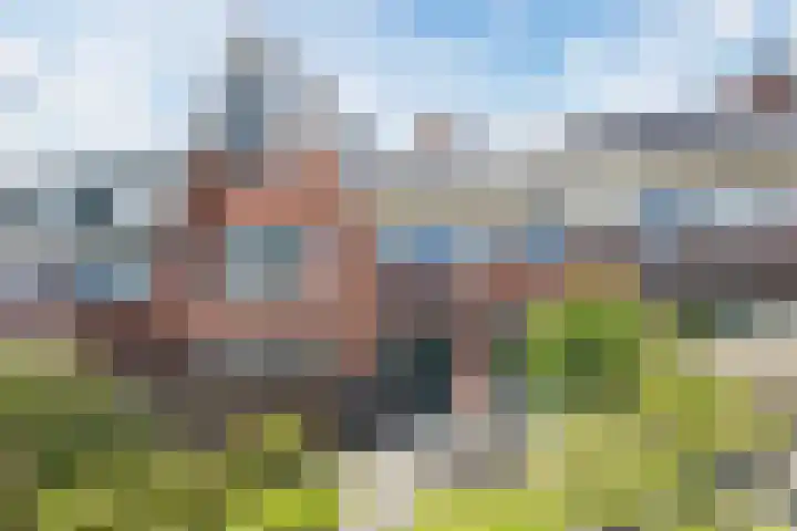 Hyacint 11 Voorhout thumbnail 39