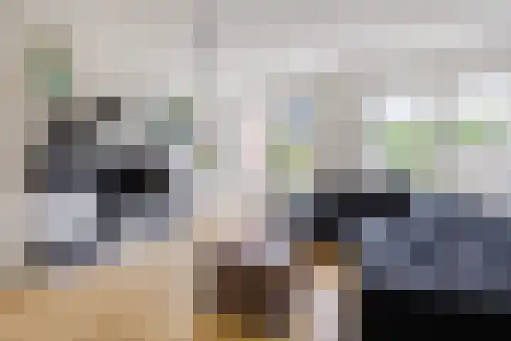Hyacint 11 Voorhout thumbnail 4