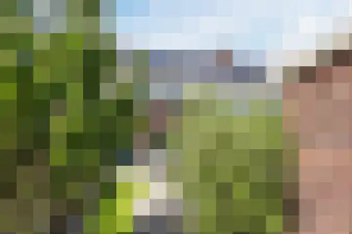 Hyacint 11 Voorhout thumbnail 40