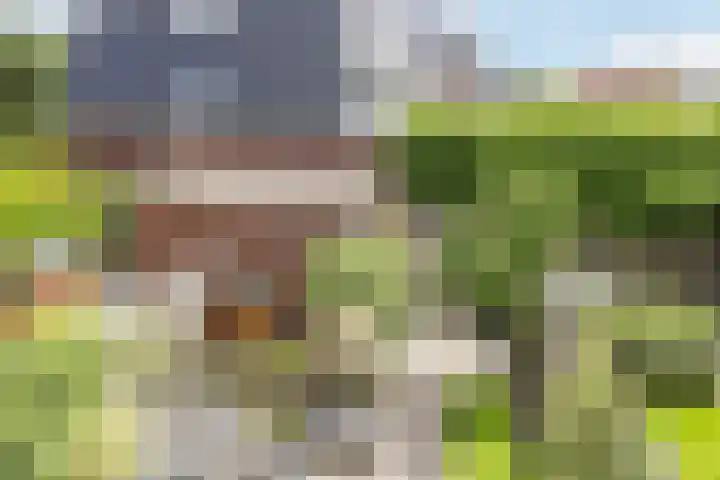 Hyacint 11 Voorhout thumbnail 41