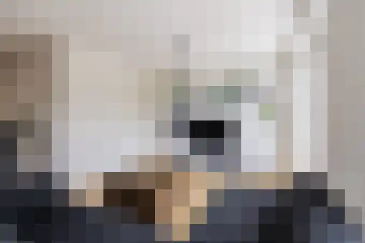 Hyacint 11 Voorhout thumbnail 6