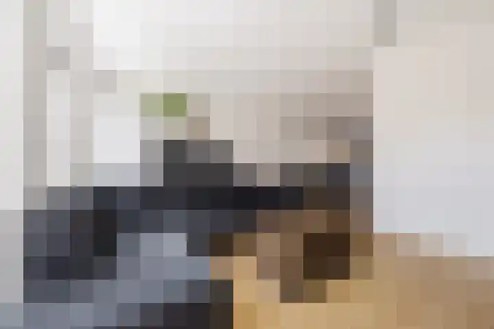 Hyacint 11 Voorhout thumbnail 7