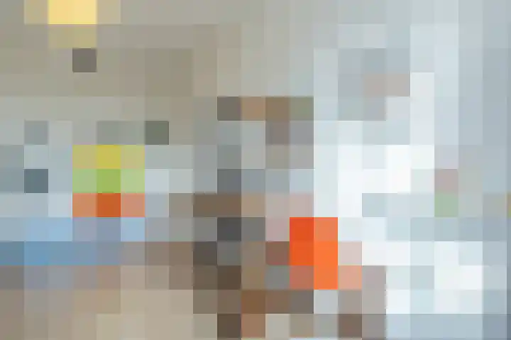 Hyacint 21 Voorhout thumbnail 20