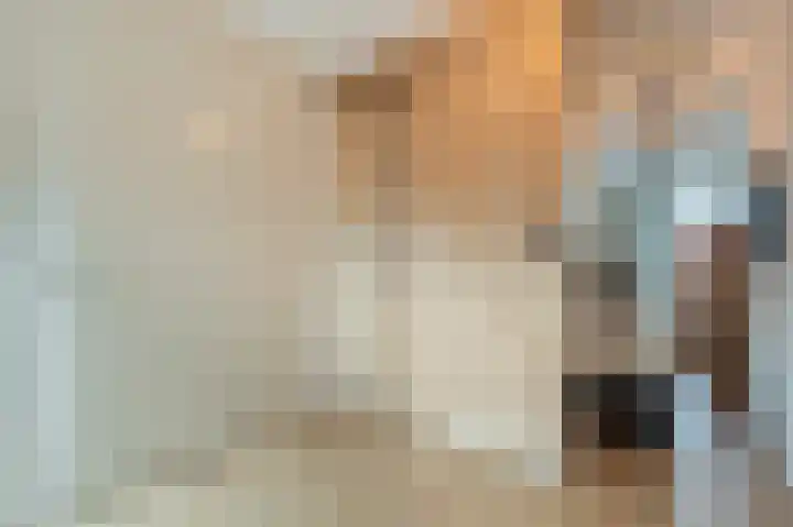 Hyacint 21 Voorhout thumbnail 29