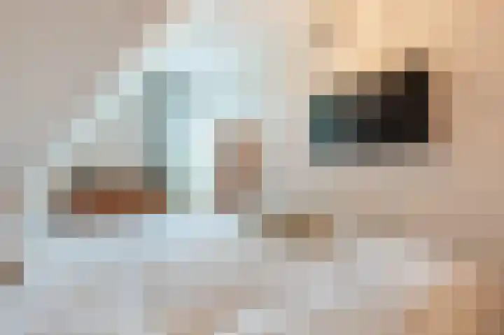 Hyacint 21 Voorhout thumbnail 31