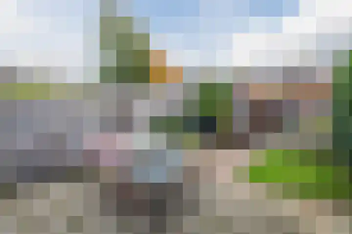 Hyacint 21 Voorhout thumbnail 35