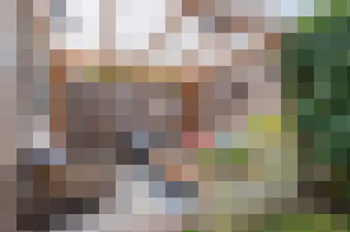 Hyacint 21 Voorhout thumbnail 37