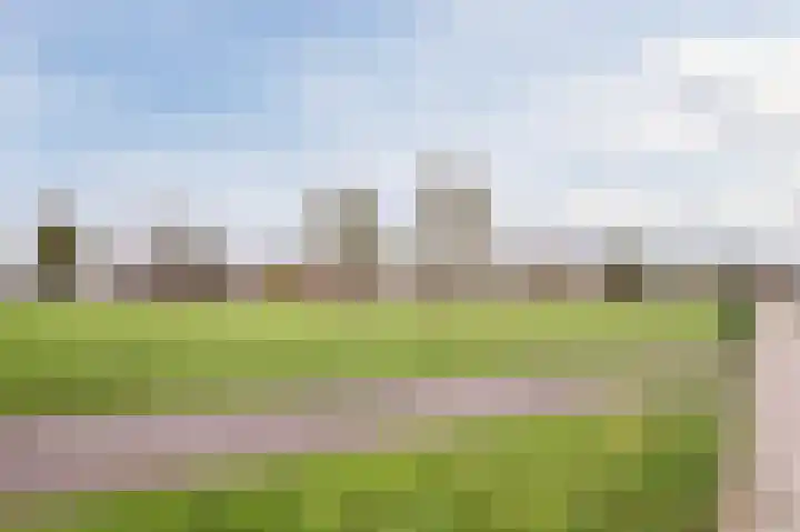 Hyacint 21 Voorhout thumbnail 41