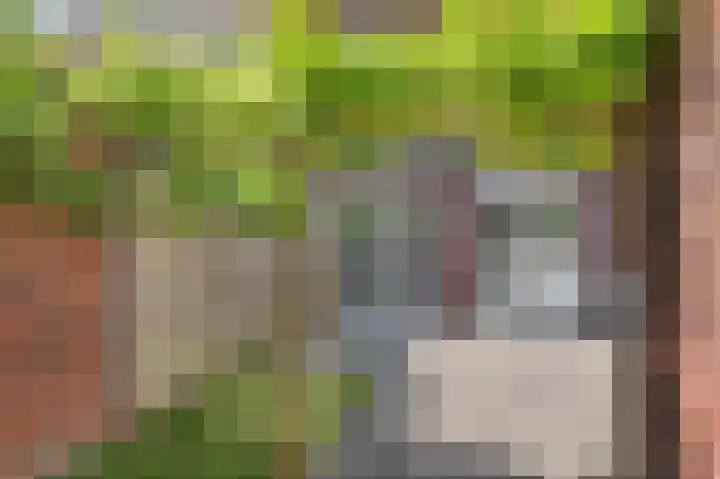 Hyacint 3 Voorhout thumbnail 13
