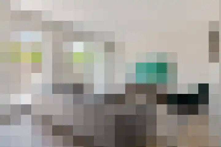 Hyacint 3 Voorhout thumbnail 7