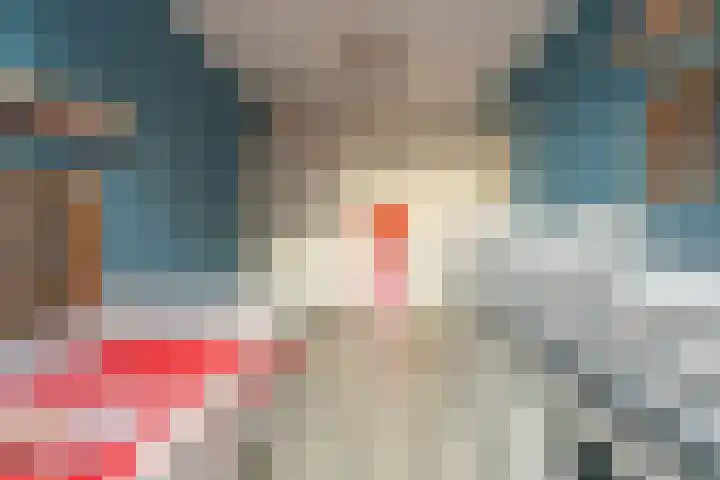 Hyacint 67 Voorhout thumbnail 17