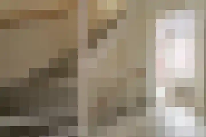 Hyacint 67 Voorhout thumbnail 24