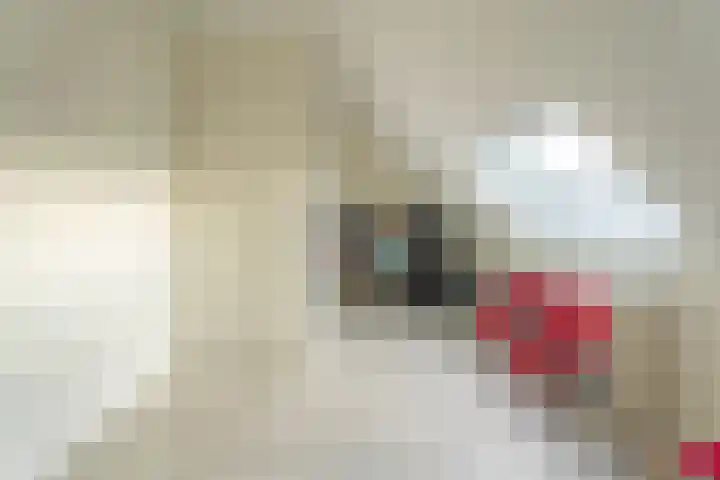 Hyacint 67 Voorhout thumbnail 26