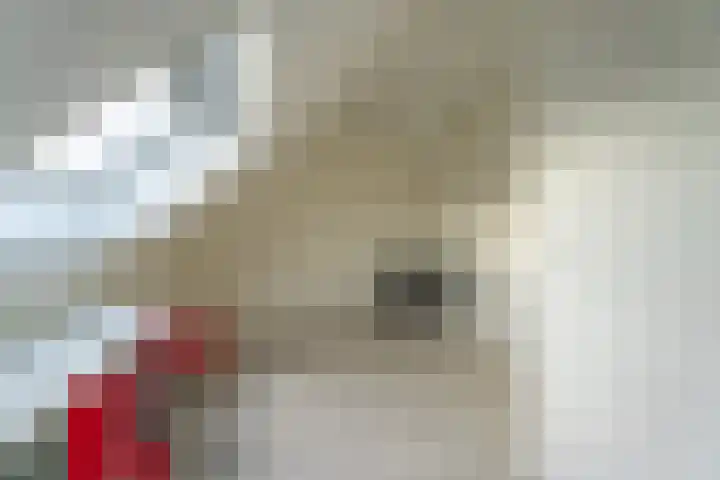 Hyacint 67 Voorhout thumbnail 27