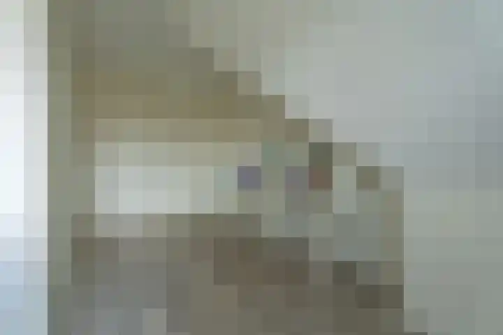 Hyacint 67 Voorhout thumbnail 30